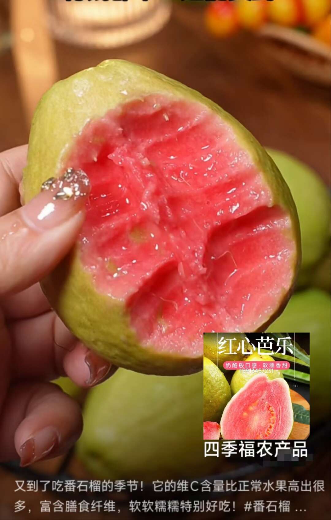 福建漳州软糯红心芭乐